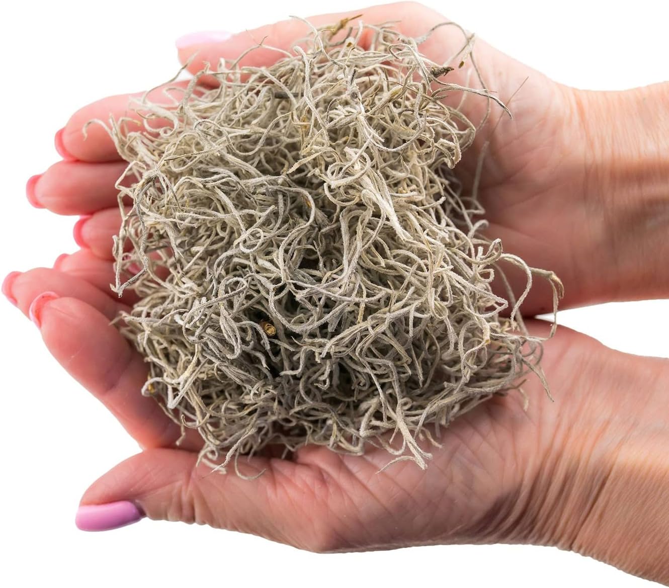 dried moss for potted plants Premium Natural Spanish Moss | Natural Preserved - 10 Quart - Great Ground Cover
