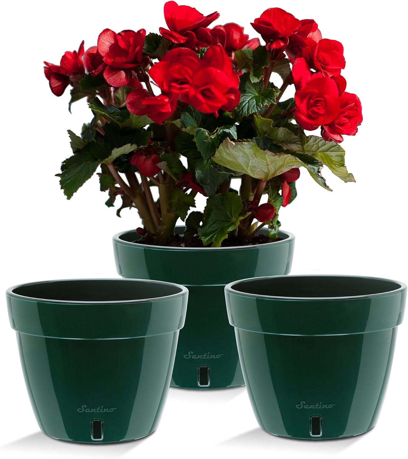 Santino ASTI 10.6 Inch Self Watering Planters Green/Black (Set of 3) for Indoor Plants - Premium Quality Modern Plastic Pot w/Water Level Indicator for All House Plants, African Violets and Dahlias