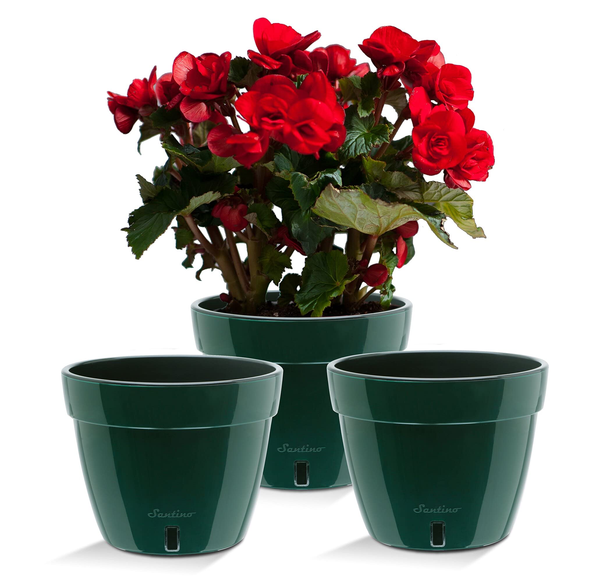 Santino ASTI 7.9 Inch Self Watering Planters Green/Black (Set of 3) for Indoor Plants - Premium Quality Modern Plastic Pot w/Water Level Indicator for All House Plants, African Violets and Dahlias