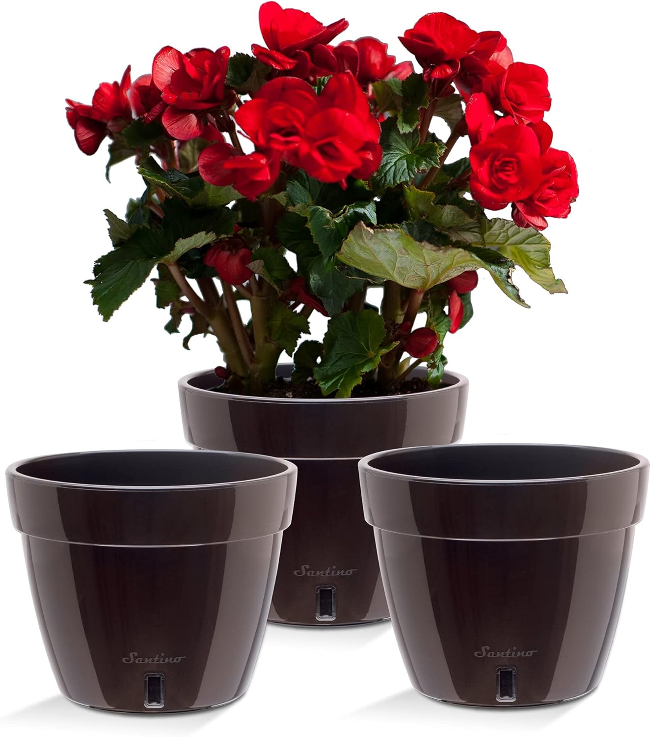 Santino ASTI 12.6 Inch Self Watering Planters Black-Gold/Black (Set of 3) for Indoor Plants - Premium Quality Modern Plastic w/Water Level Indicator for All House Plants, African Violets and Dahlias