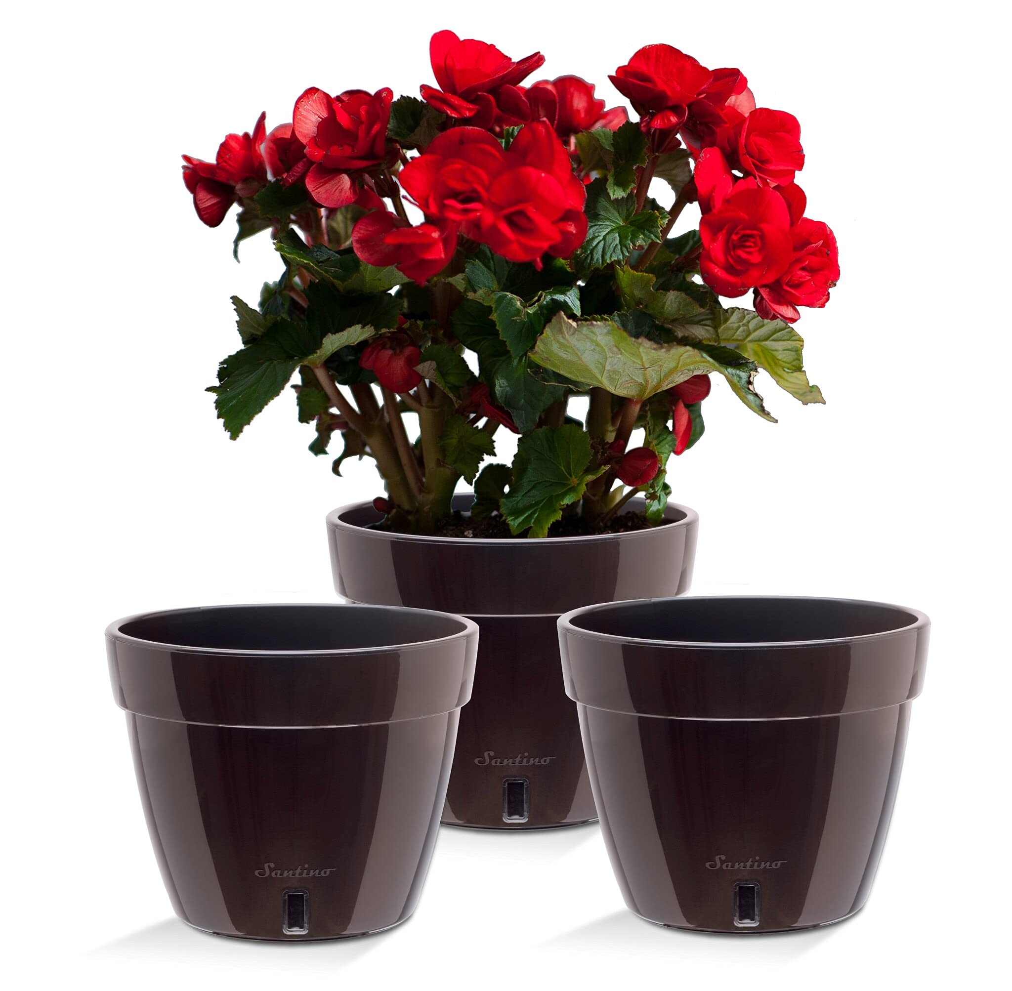 Santino ASTI 9.2 Inch Self Watering Planter Black-Gold/Black (Set of 3) for Indoor Plants - Premium Quality Modern Plastic w/Water Level Indicator for All House Plants, African Violets and Dahlias