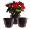 Santino ASTI 10.6 Inch Self Watering Planter BLACK-GOLD/BLACK (Set of 3) for Indoor Plants - Premium Quality Modern Plastic Pot w/Water level Indicator for House Plants, African Violets and Dahlias