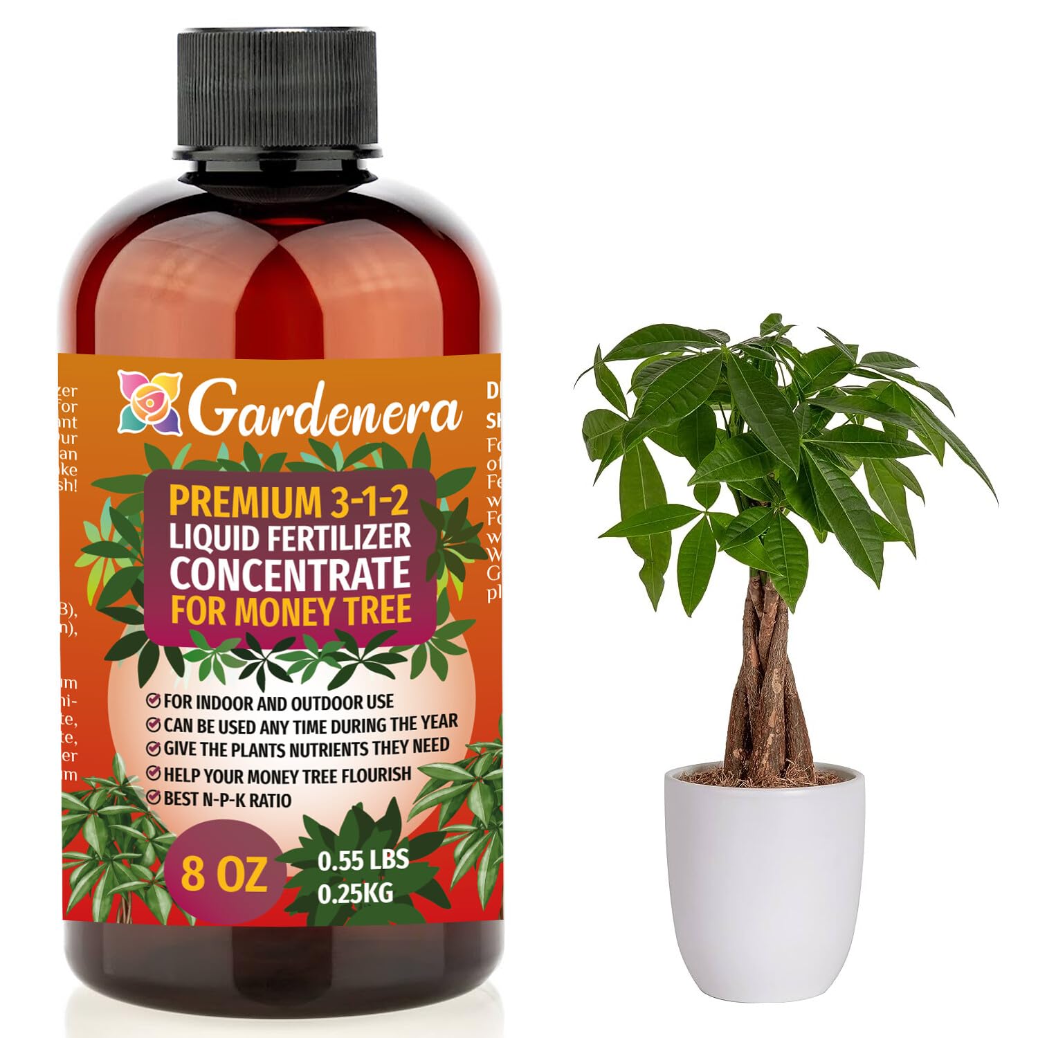 money plant natural fertilizer Premium Liquid MONEY TREE Plant Fertilizer - 3-1-2 Concentrate for Indoor Plants and Flowers by Gardenera | Organic Plant Food for MONEY TREE