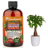 Premium Liquid MONEY TREE Plant Fertilizer - 3-1-2 Concentrate for Indoor Plants and Flowers by Gardenera | Organic Plant Food for MONEY TREE - 32oz