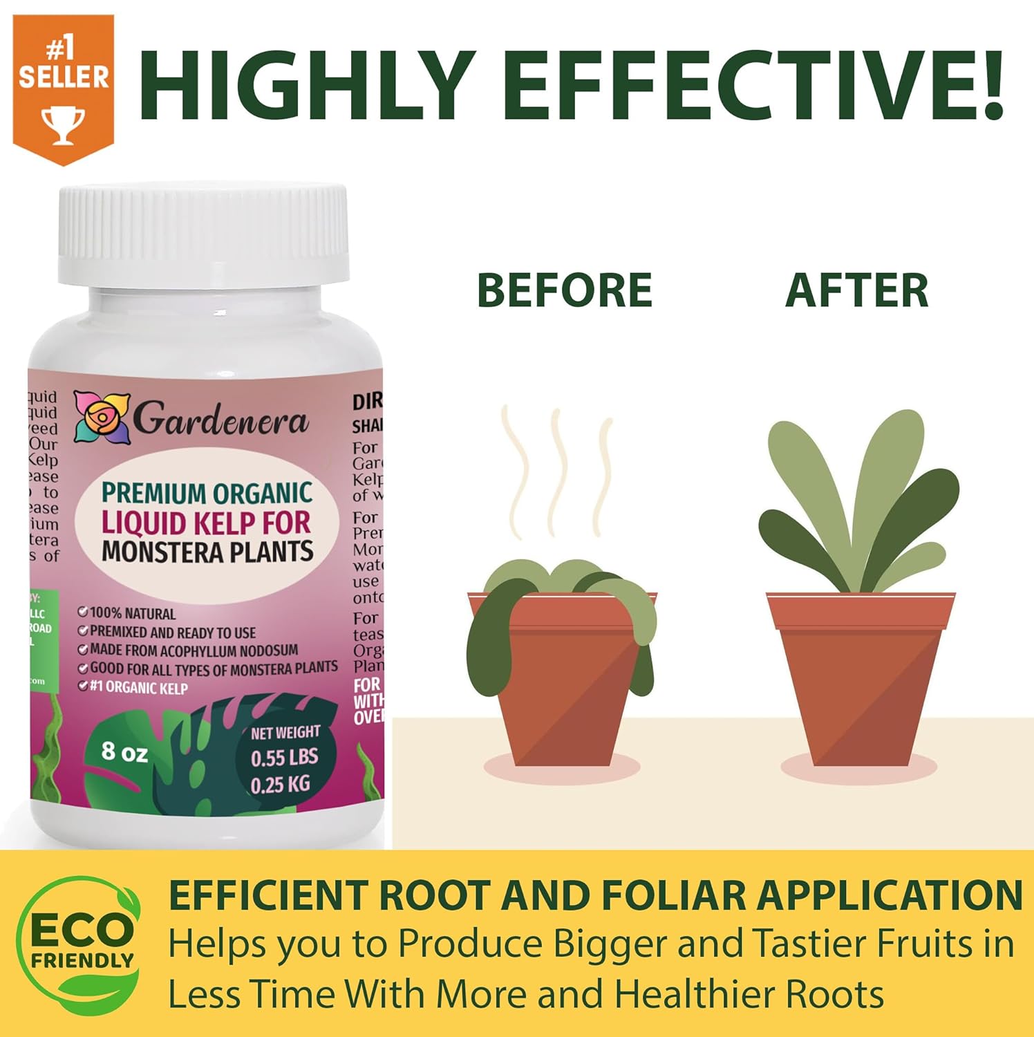 GARDENERA Monstera-Specific Organic Liquid Kelp Fertilizer - 16 oz - Boost Your Monstera's Growth and Leaf Development Naturally