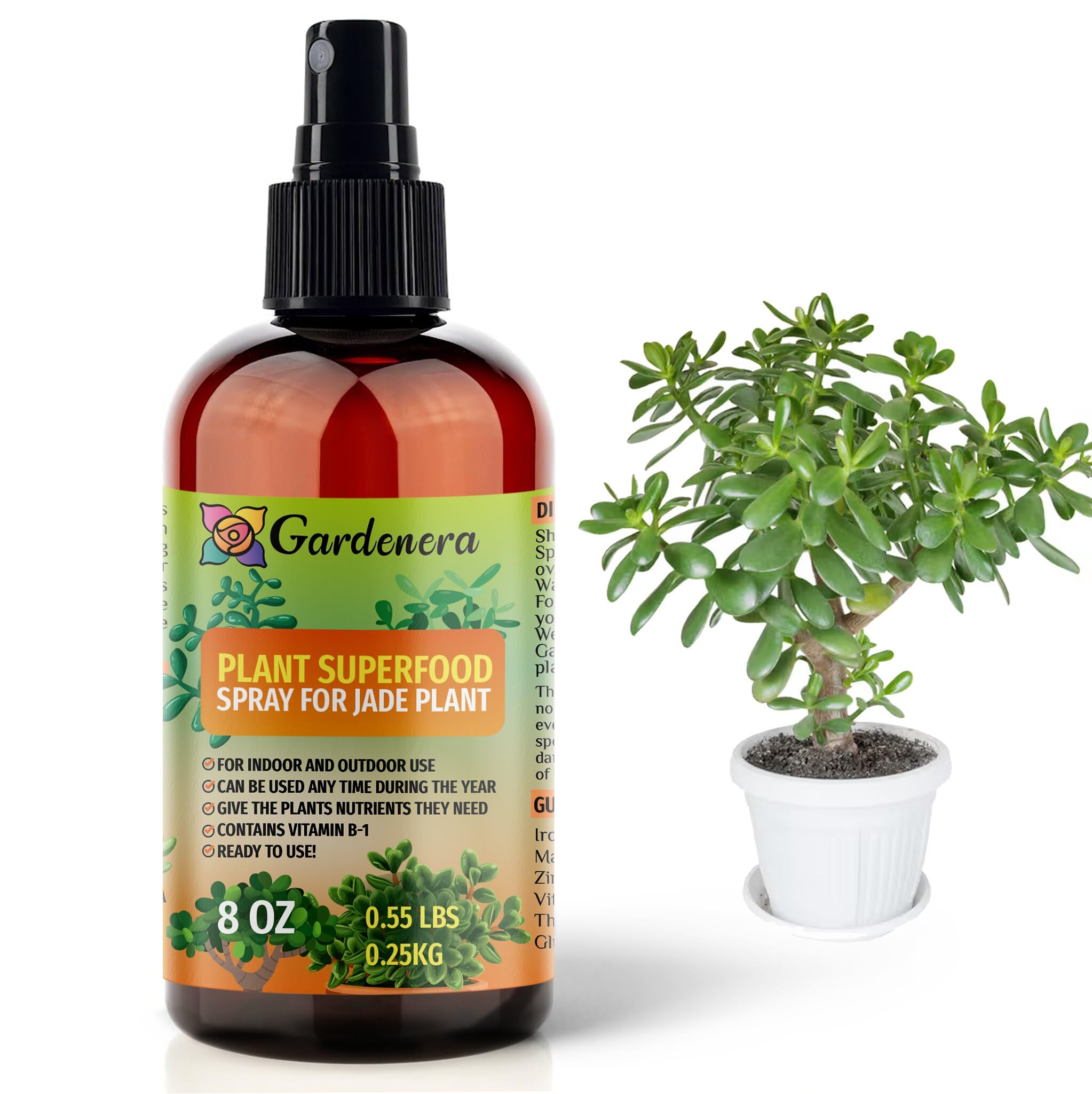 best fertilizer for jade plants Plant Superfood for JADE Plants with B1 Vitamin, Glucose and Essential Minerals