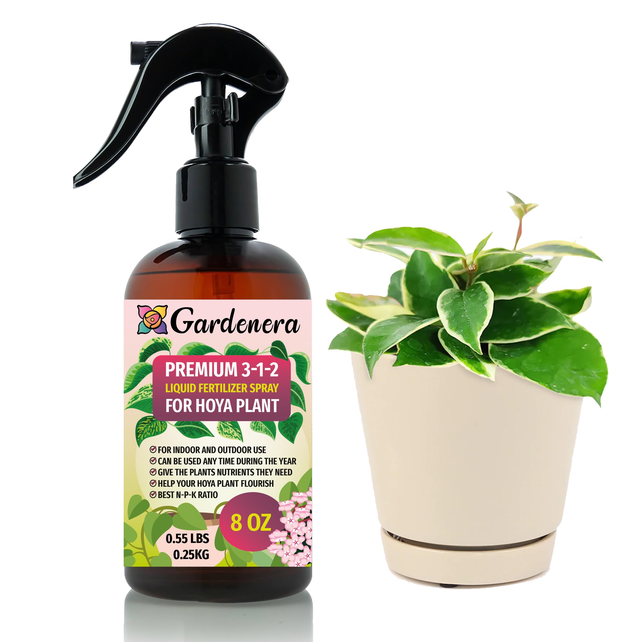 fertilizer for hoya plants Gardenera Professional HOYA Spray Fertilizer Mist for Home Gardening | 3-1-2 Gentle Blend Mist for Healthy Leaves & Growth