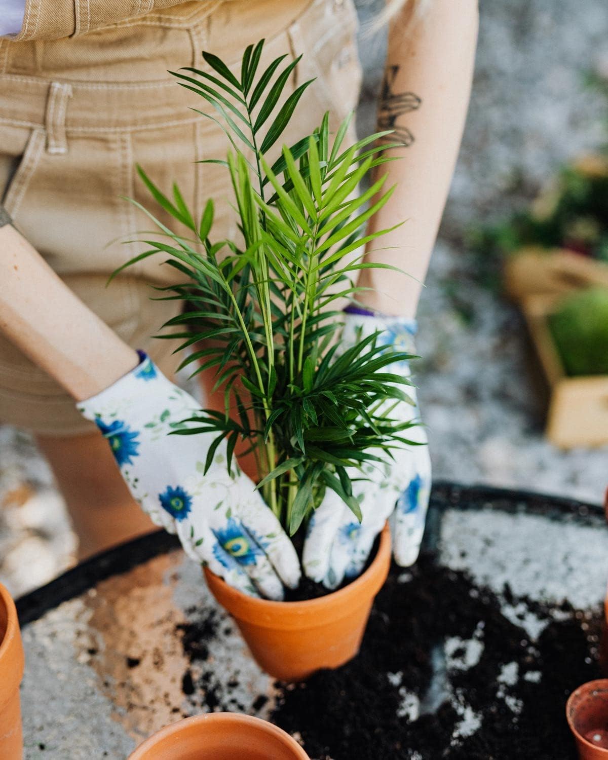 Gardenera's Professional Grade Mix for Stunning Peace Lilies: The Essential Ingredient for Indoor Plant Success [10-Quart Bag]