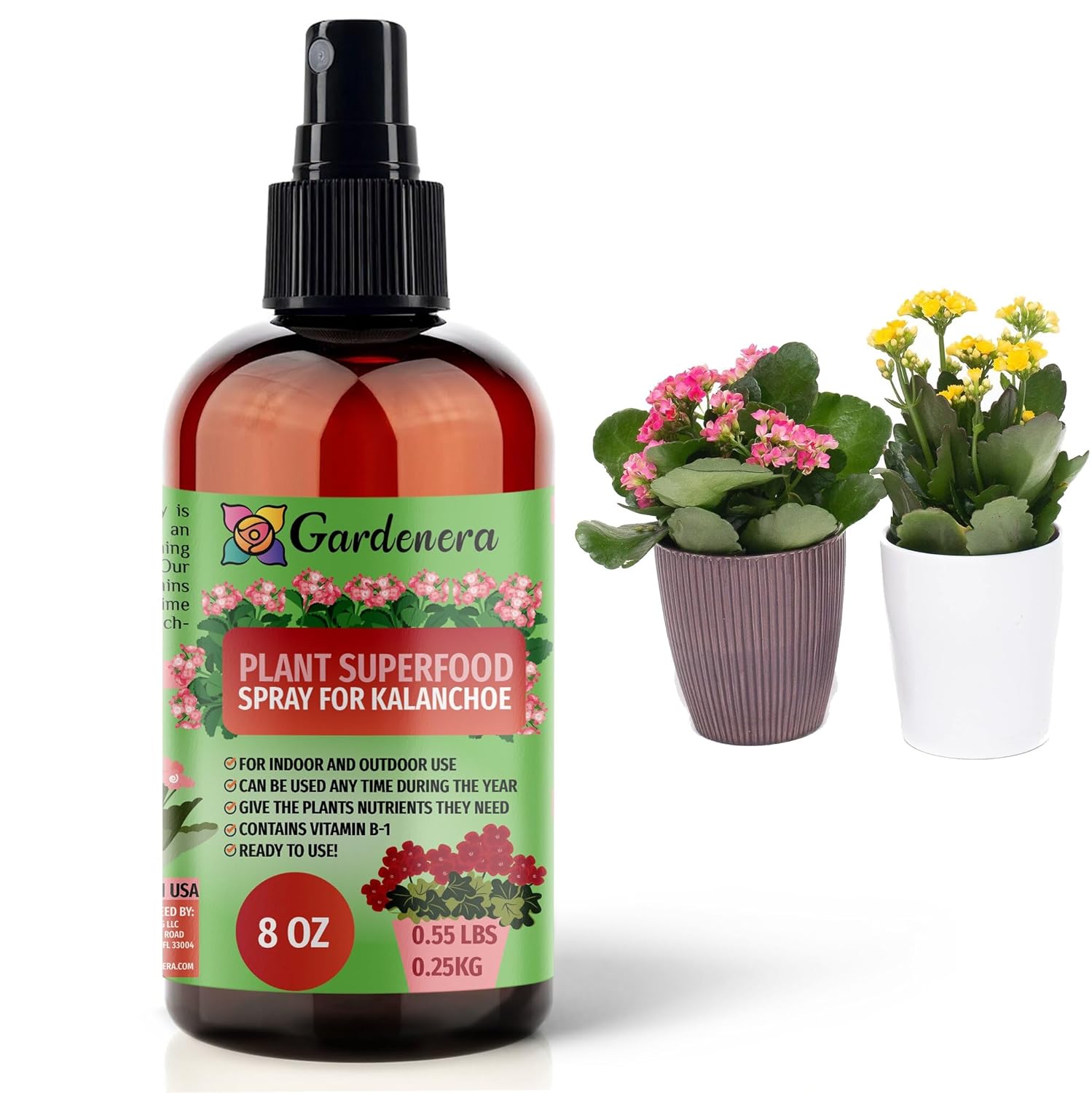 Plant Superfood for KALANCHOE Plants with B1 Vitamin, Glucose and Essential Minerals - Organic Plant Food Fertilizer for Indoor & Outdoor KALANCHOE Plant Care - 8oz