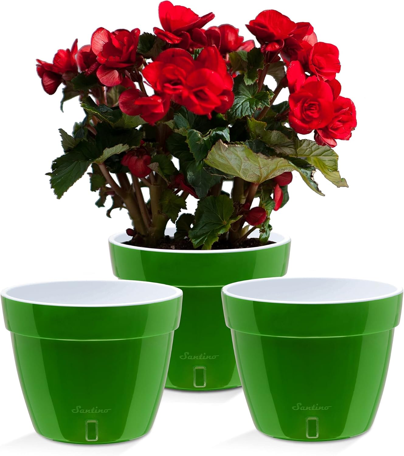 Santino ASTI 10.6 Inch Self Watering Planters Green-Gold/White (Set of 3) for Indoor Plants - Premium Quality Modern Plastic Pot w/Water Level Indicator for House Plants, African Violets and Dahlias