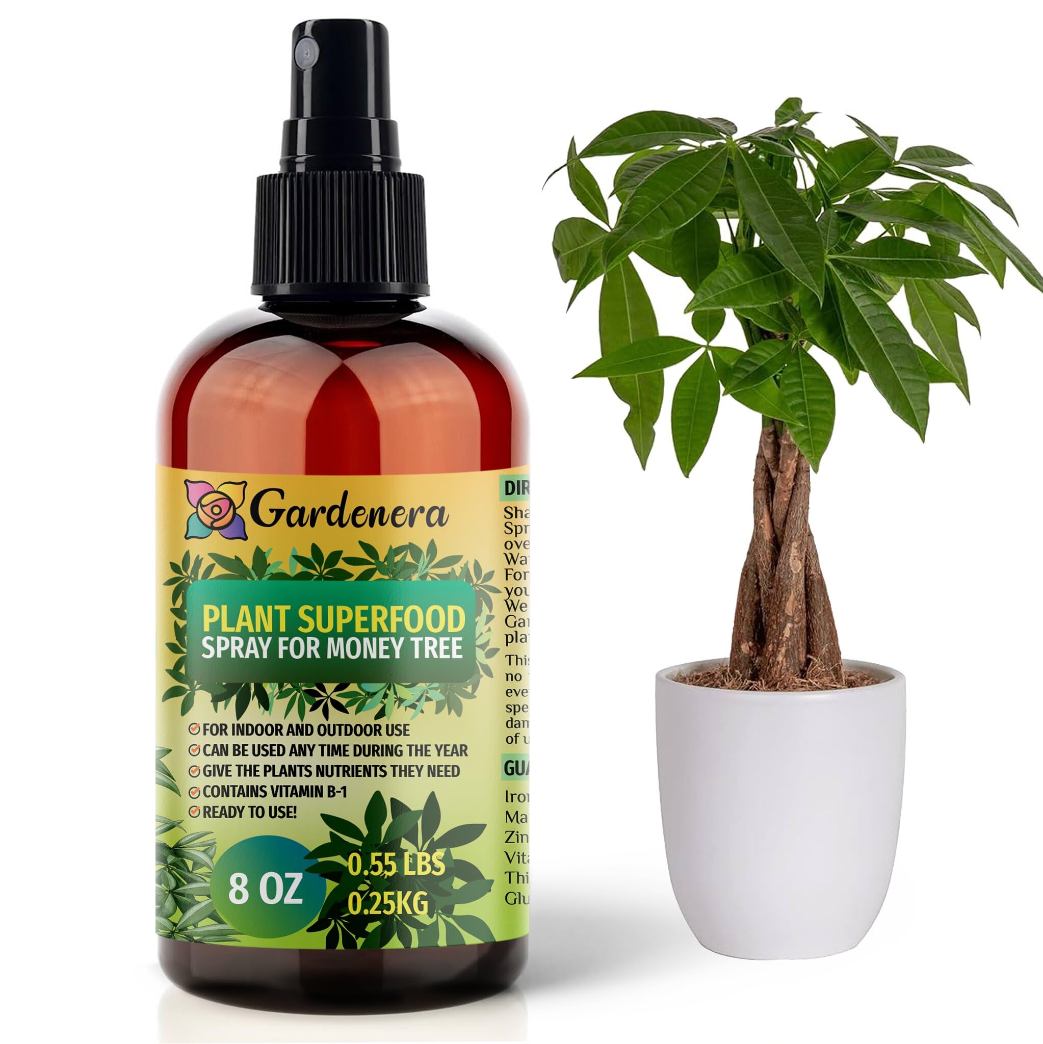nutrients for money plant in water Plant Superfood for MONEY TREE Plants with B1 Vitamin, Glucose and Essential Minerals