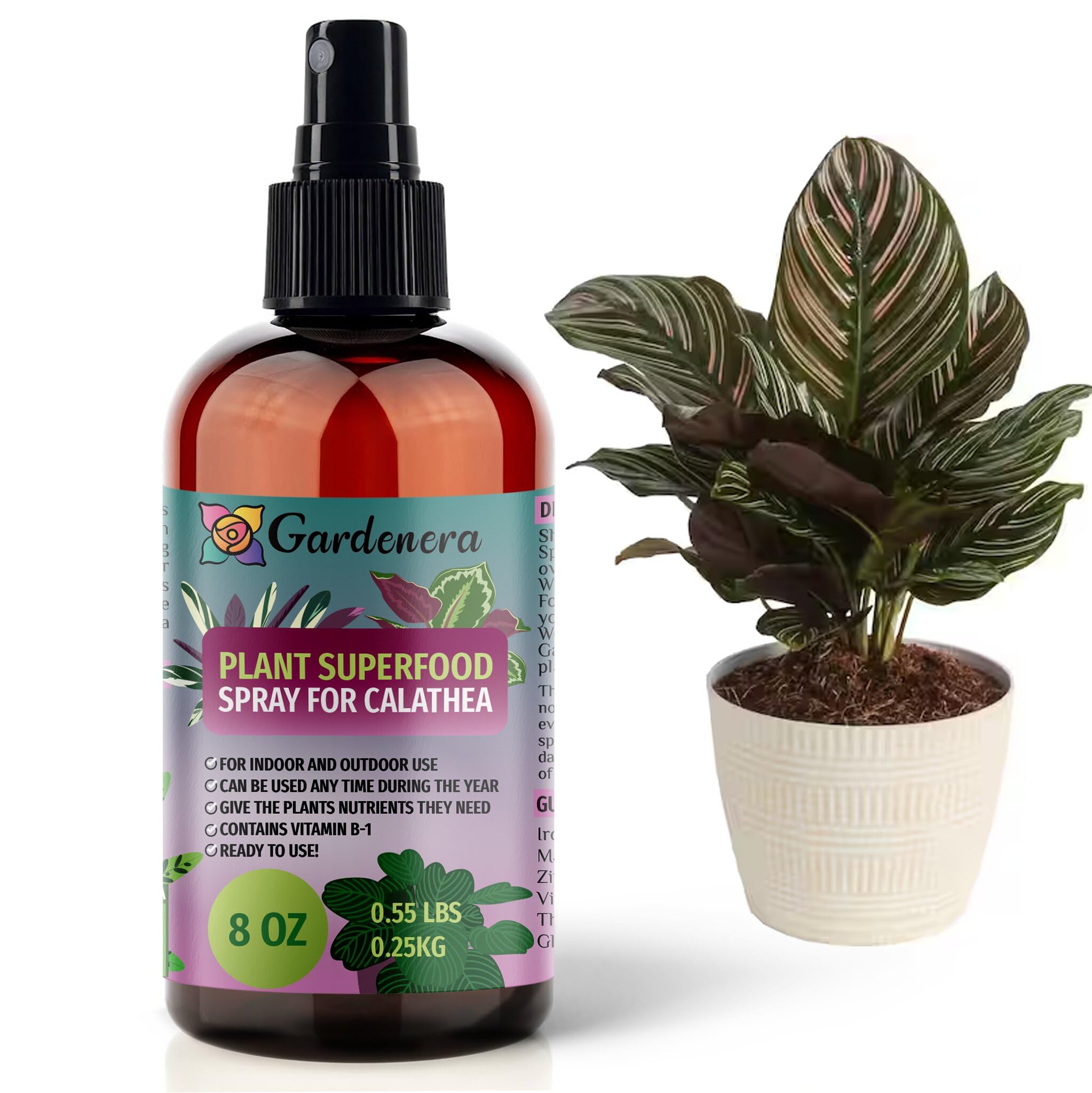 best fertilizer for calathea plants Plant Superfood for CALATHEA Plants with B1 Vitamin, Glucose and Essential Minerals