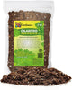 Gardenera Premium Cilantro Plant Potting Mix - Crafted for Vigorous Cilantro Growth and Intense Flavor - 1 Quart