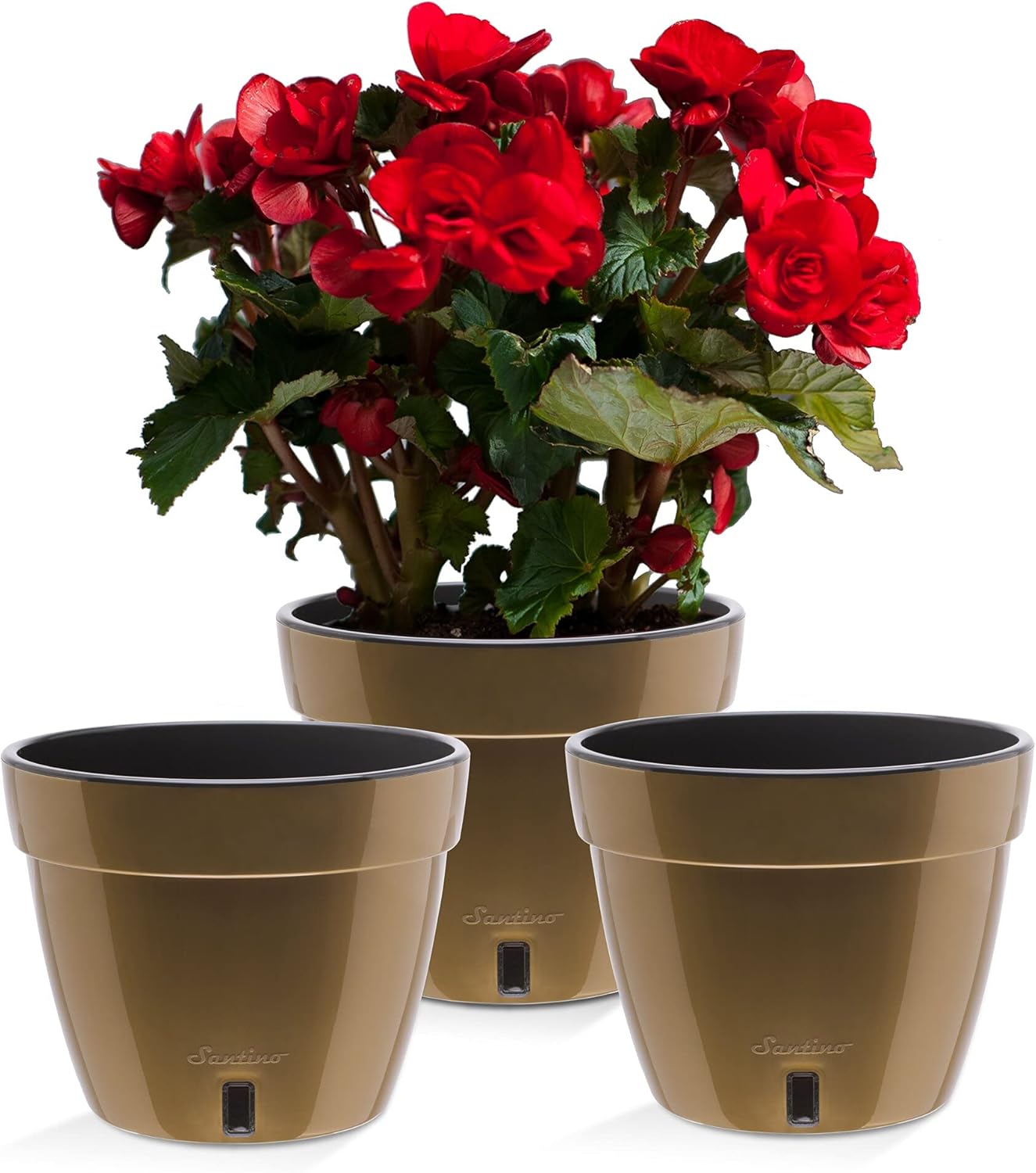 Santino ASTI 11.8 Inch Self Watering Planters Gold/Black (Set of 3) for Indoor Plants - Premium Quality Modern Plastic Pot w/Water Level Indicator for All House Plants, African Violets and Dahlias