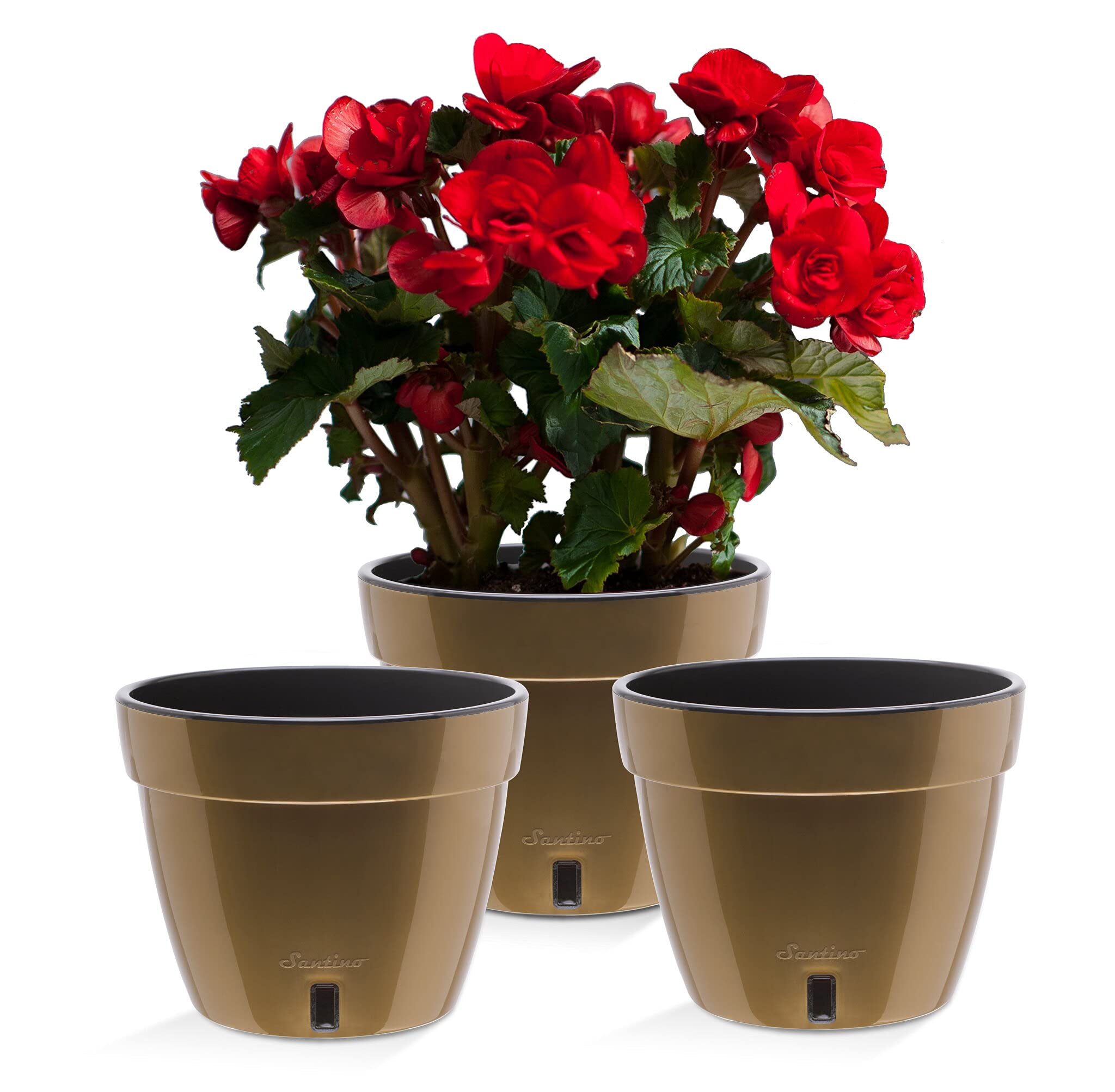 Santino ASTI 10.6 Inch Self Watering Planters Gold/Black (Set of 3) for Indoor Plants - Premium Quality Modern Plastic Pot w/Water Level Indicator for All House Plants, African Violets and Dahlias