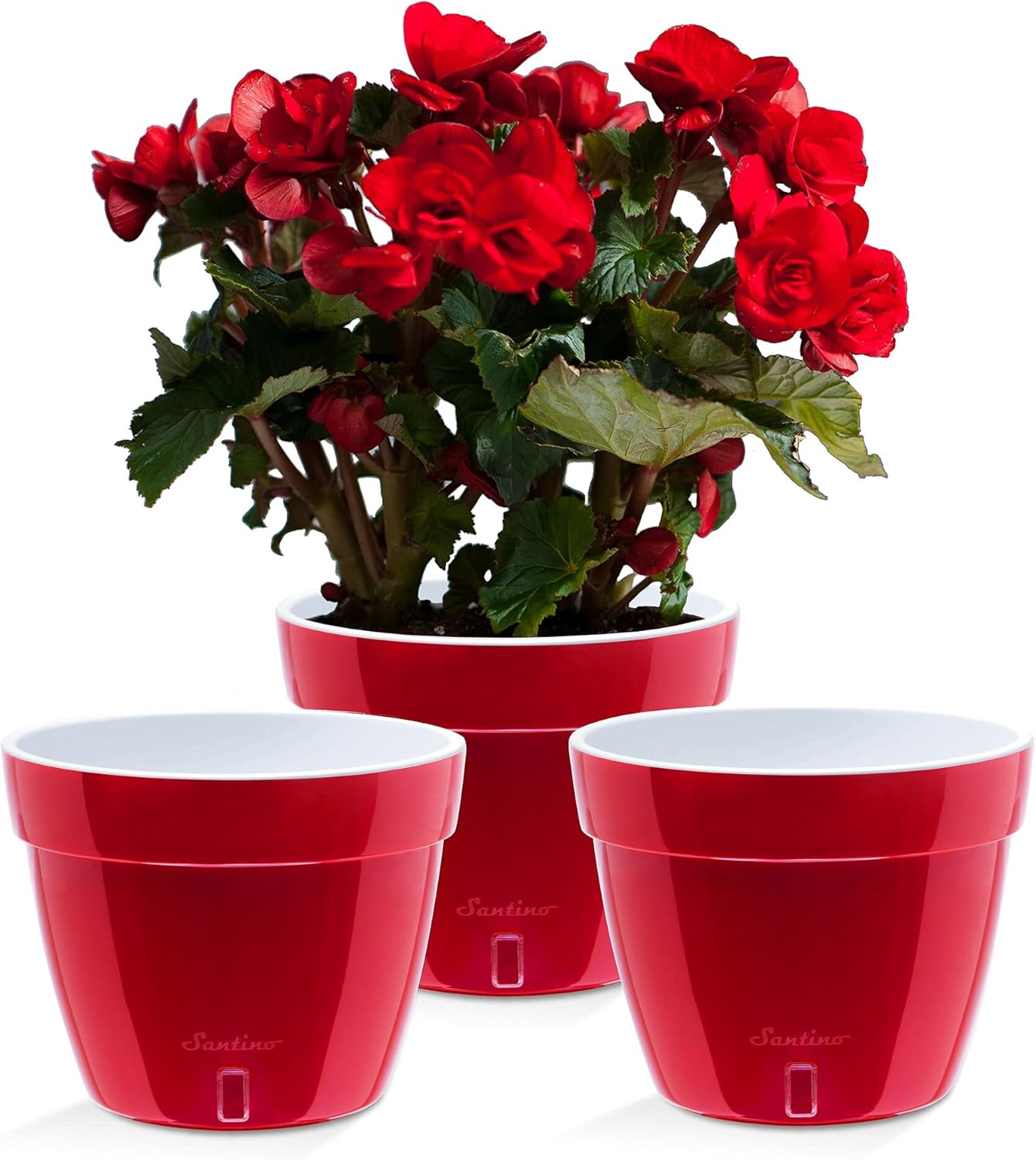 Santino ASTI 10.6 Inch Self Watering Planters RED-Pearl/White (Set of 3) for Indoor Plants - Premium Quality Modern Plastic w/Water Level Indicator for All House Plants, African Violets and Dahlias