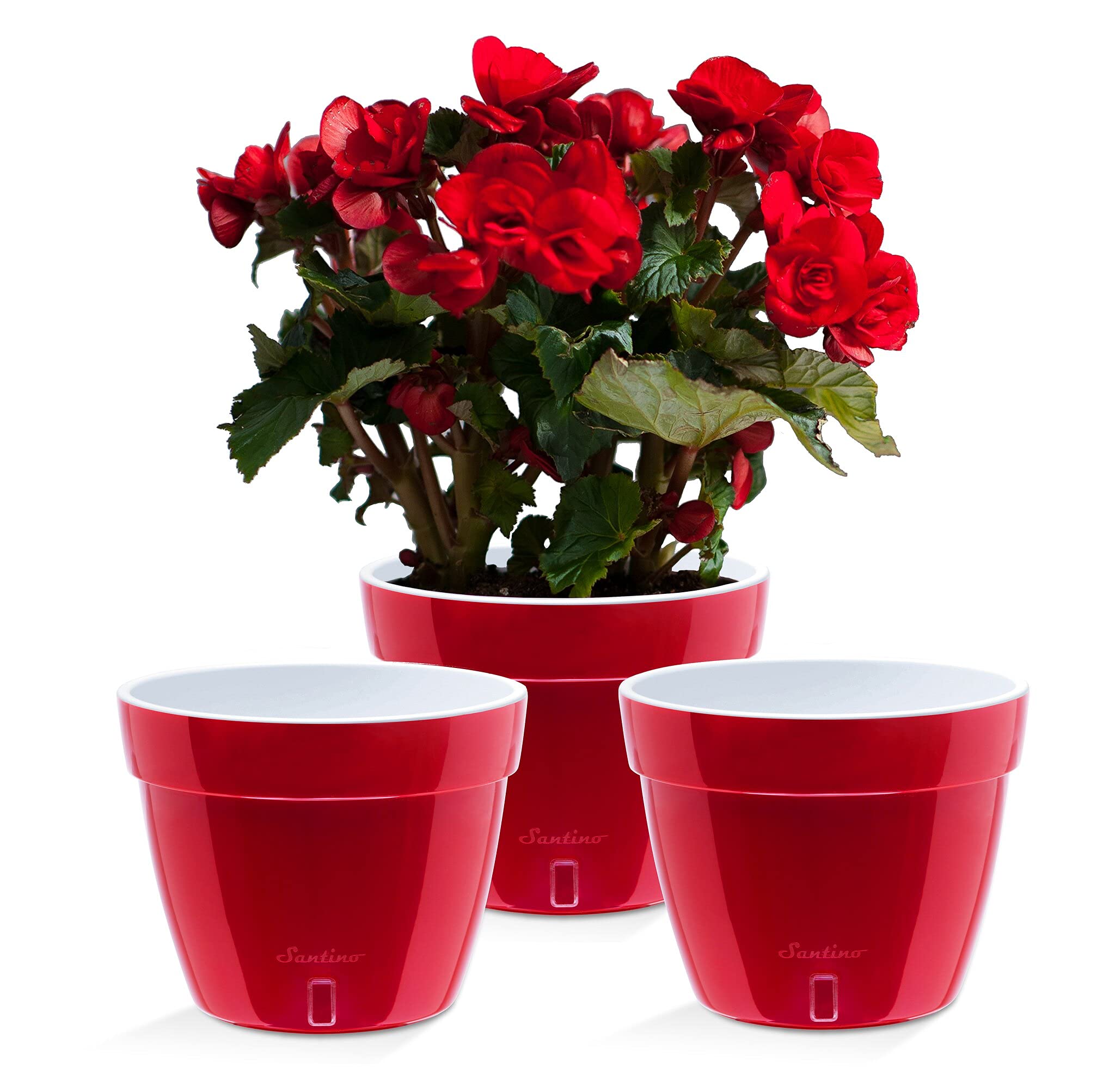 Santino ASTI 11.8 Inch Self Watering Planters RED-Pearl/White (Set of 3) for Indoor Plants - Premium Quality Modern Pot w/Water Level Indicator for All House Plants, African Violets and Dahlias