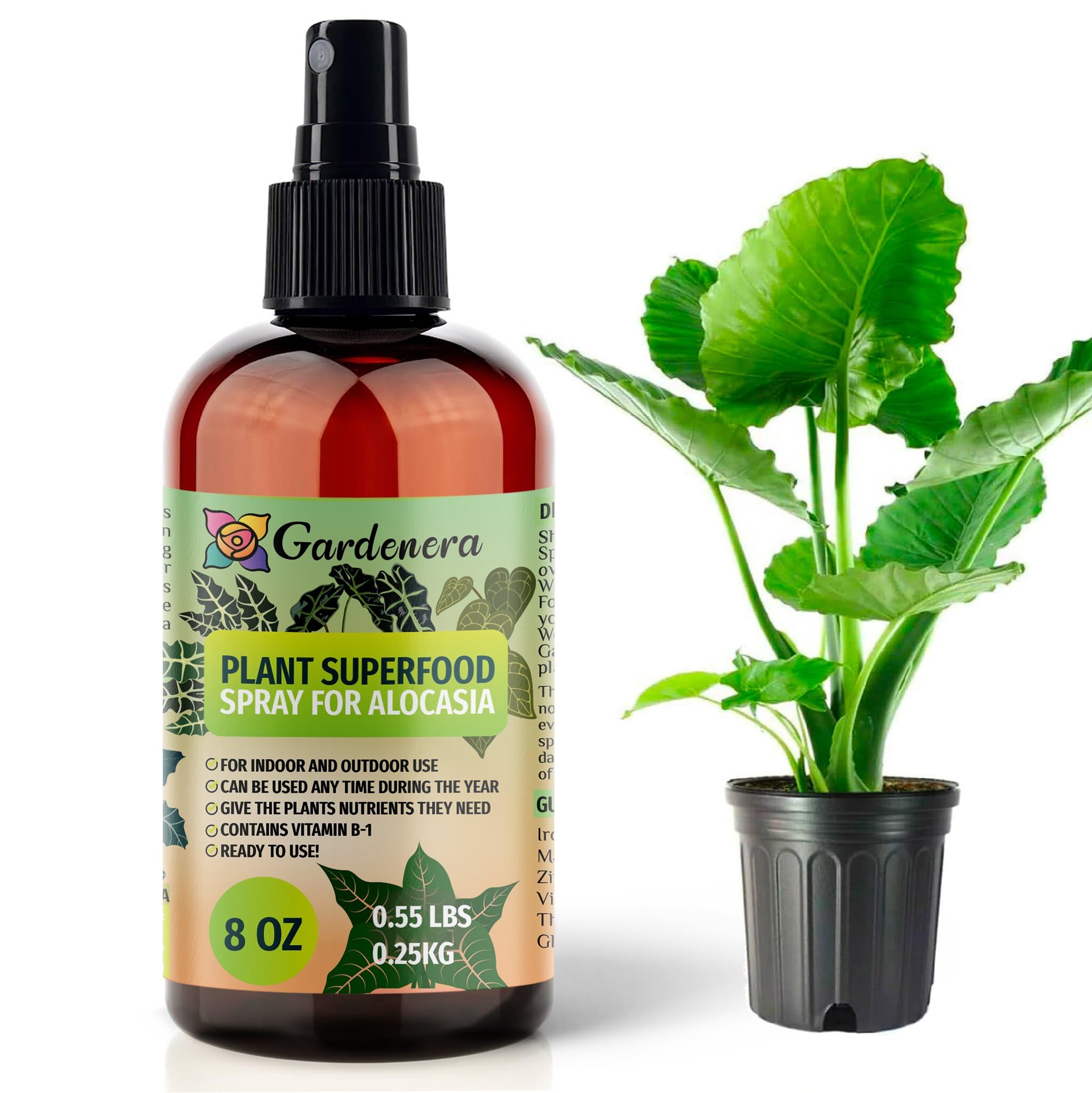 Plant Superfood for ALOCASIA Plants with B1 Vitamin, Glucose and Essential Minerals - Organic Plant Food Fertilizer for Indoor & Outdoor ALOCASIA Plant Care - 8oz