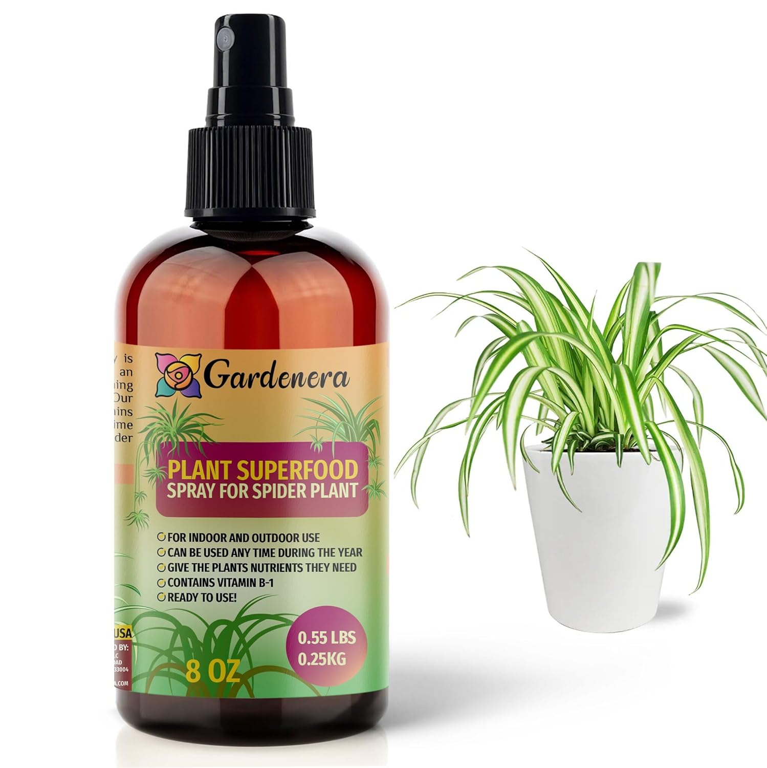 fertilizer for spider plant Plant Superfood for SPIDER Plants with B1 Vitamin, Glucose and Essential Minerals