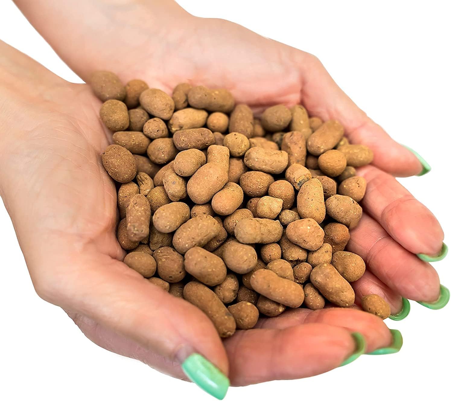 GARDENERA - Organic Expanded Clay Pebbles (1 Liter) - Made from 100% Natural Clay, Can be used for Drainage, Decoration, Aquaponics, Hydroponics and Other Gardening Essentials (MADE in UKRAINE)