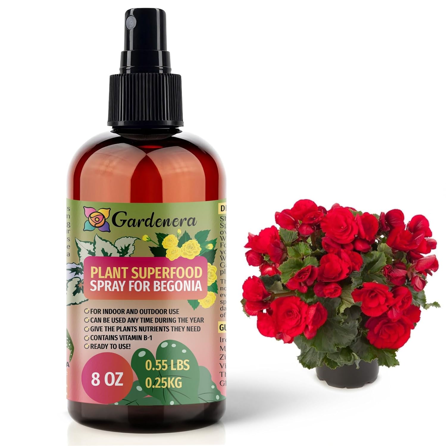 Plant Superfood for BEGONIA Plants with B1 Vitamin, Glucose and Essential Minerals - Organic Plant Food Fertilizer for Indoor & Outdoor BEGONIA Plant Care - 8oz