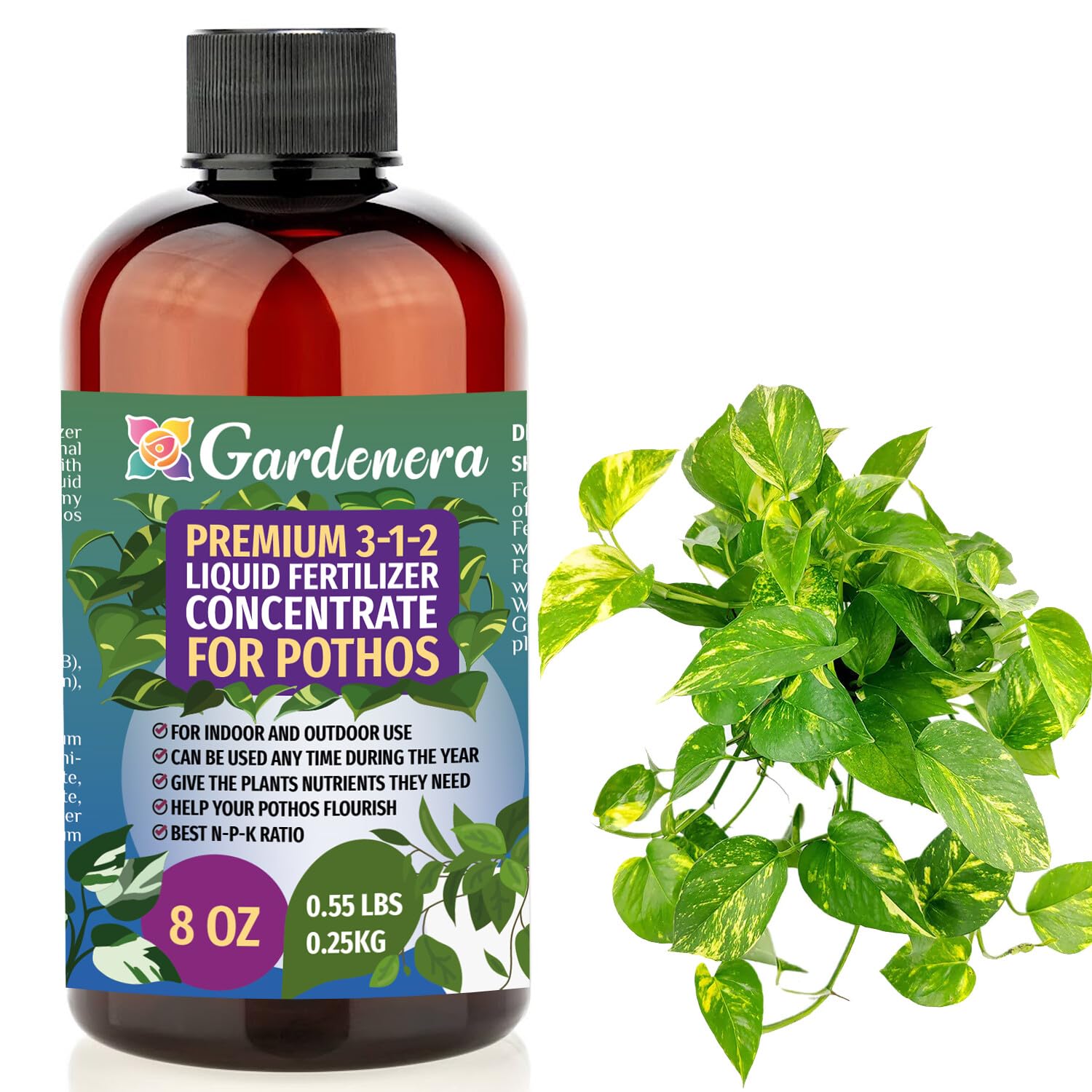 pothos fertilizer ratio Premium Liquid Pothos Plant Fertilizer - 3-1-2 Concentrate for Indoor Plants and Flowers by Gardenera | Organic Plant Food for Pothos Plants