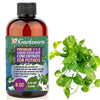 Premium Liquid POTHOS Plant Fertilizer - 3-1-2 Concentrate for Indoor Plants and Flowers by Gardenera | Organic Plant Food for Pothos Plants - 32oz