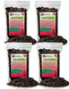 PREMIUM Aroid Potting Mix - Soil Free Blend for Aroids - Growing Medium for House Plants by Gardenera - (1 Quart Bag)