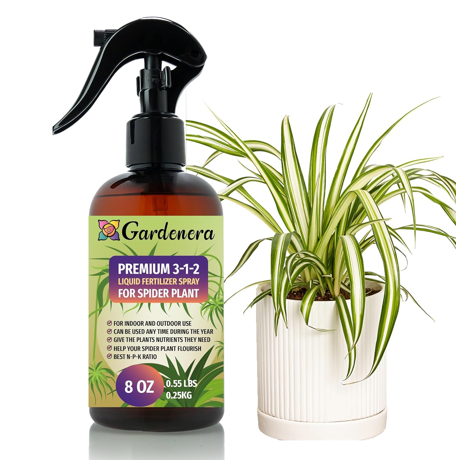 spider plant fertilizer ratio Gardenera Professional Spider Plant Spray Fertilizer Mist for Home Gardening | 3-1-2 Gentle Blend Mist for Healthy Leaves & Growth