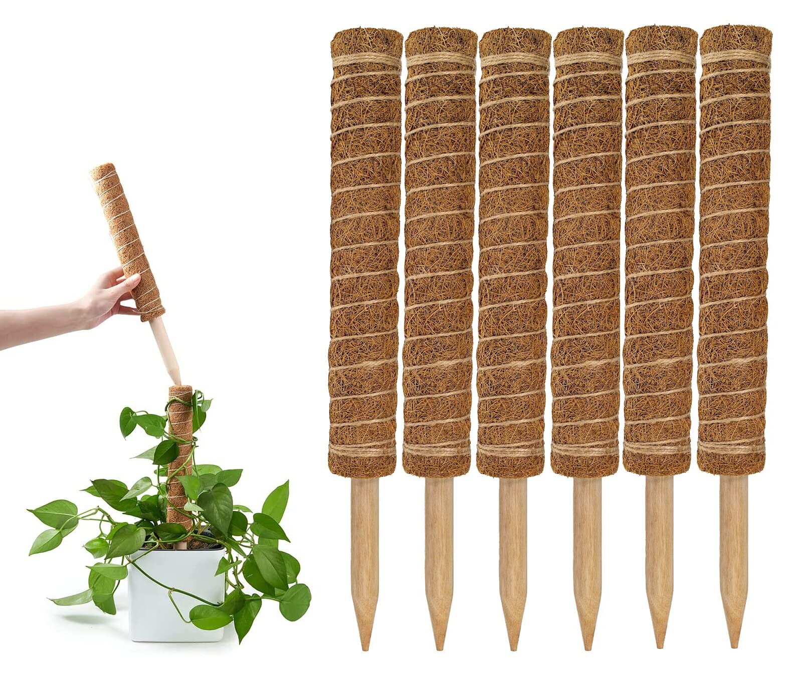 GARDENERA Coco Coir Poles for Plants Monstera (Pack of 6) Coco Plant Sticks Support, 12" Coco Coir Plant Stakes for Indoor Plants, Monstera Moss Pole for Climbing Plants Growth