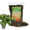 Gardenera Premium DUMB CANE Potting Soil Mix - Ideal Blend for Growing Robust and Healthy Dumb Cane Plants - 10 QUART