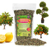 phc plant health care all-purpose 8-10-10 fertilizer GARDENERA Professional 8-10-10 All Purpose Fertilizer - Formulated for Turf, Ornamentals, Shrubs, Perennials, Annuals, Palms and Citrus Trees