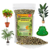 GARDENERA Professional 13-3-13 Super Palm and Tropical Ornamental Fertilizer - Perfect Food for Landscape Plants - 1 Quart