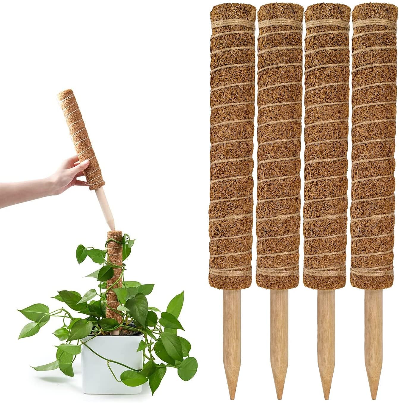 Best Coco Coir Poles for Monstera (Pack of 4) - 12" Monstera Plant Stakes, Sphagnum Handmade Coco Stick, Potted Plants Support/Totem Perfect for Small/Medium Climbing Plants Indoor