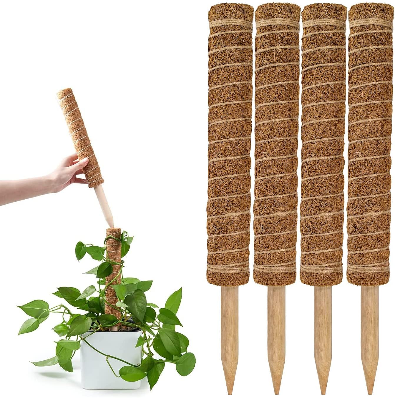 coco coir monstera Best Coco Coir Poles for Monstera (Pack of 4)