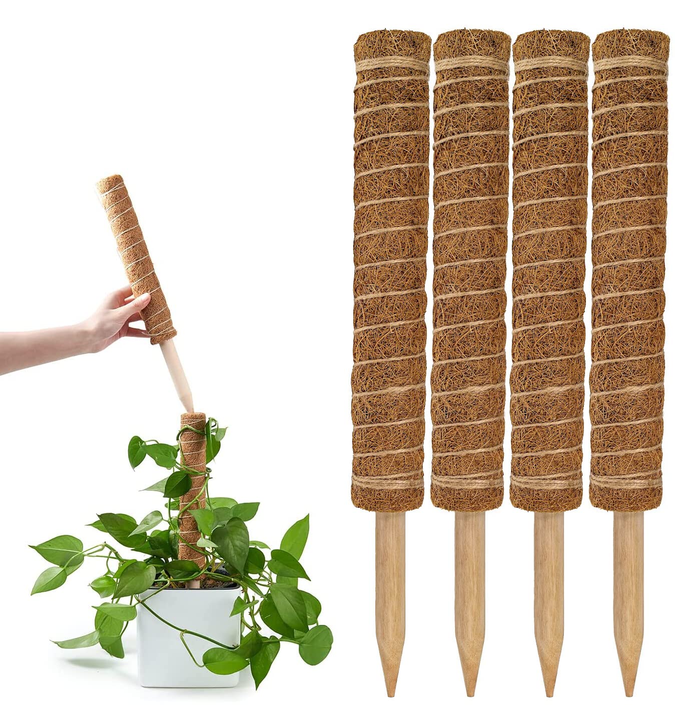 Best Coco Coir Poles for Monstera (Pack of 4) - 12" Monstera Plant Stakes, Sphagnum Handmade Coco Stick, Potted Plants Support/Totem Perfect for Small/Medium Climbing Plants Indoor