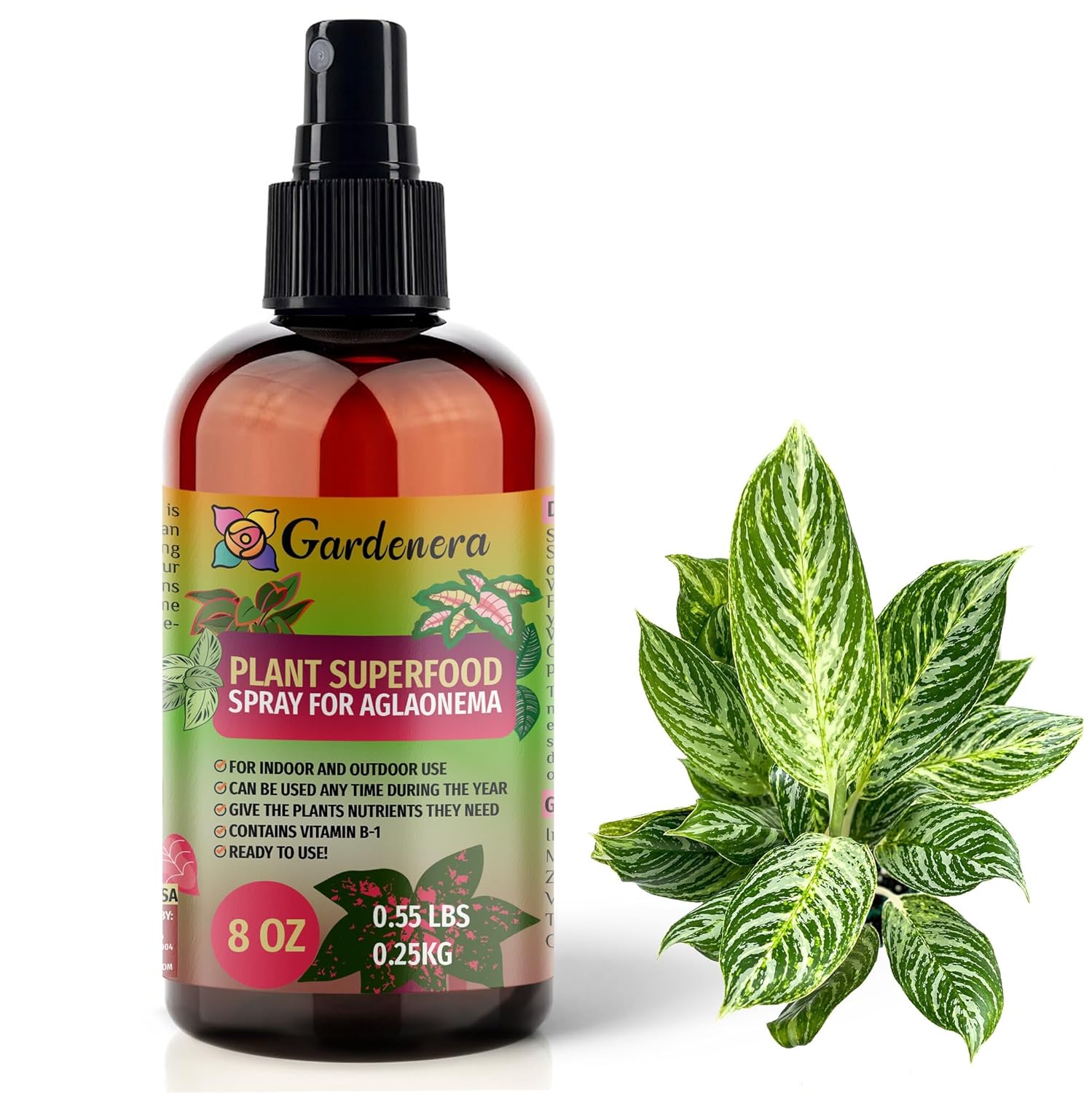 aglaonema plant fertilizer Plant Superfood for AGLAONEMA Plants with B1 Vitamin, Glucose and Essential Minerals