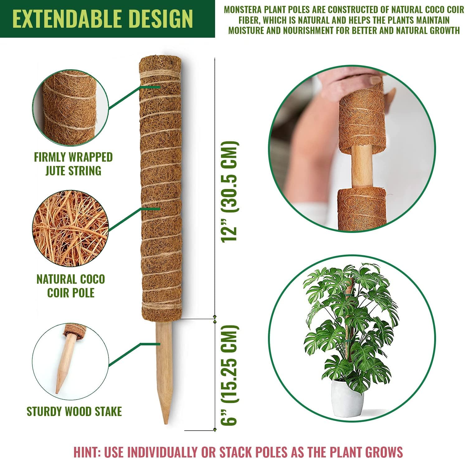 moss vs coco coir pole Best Coco Coir Poles for Monstera (Pack of 4)