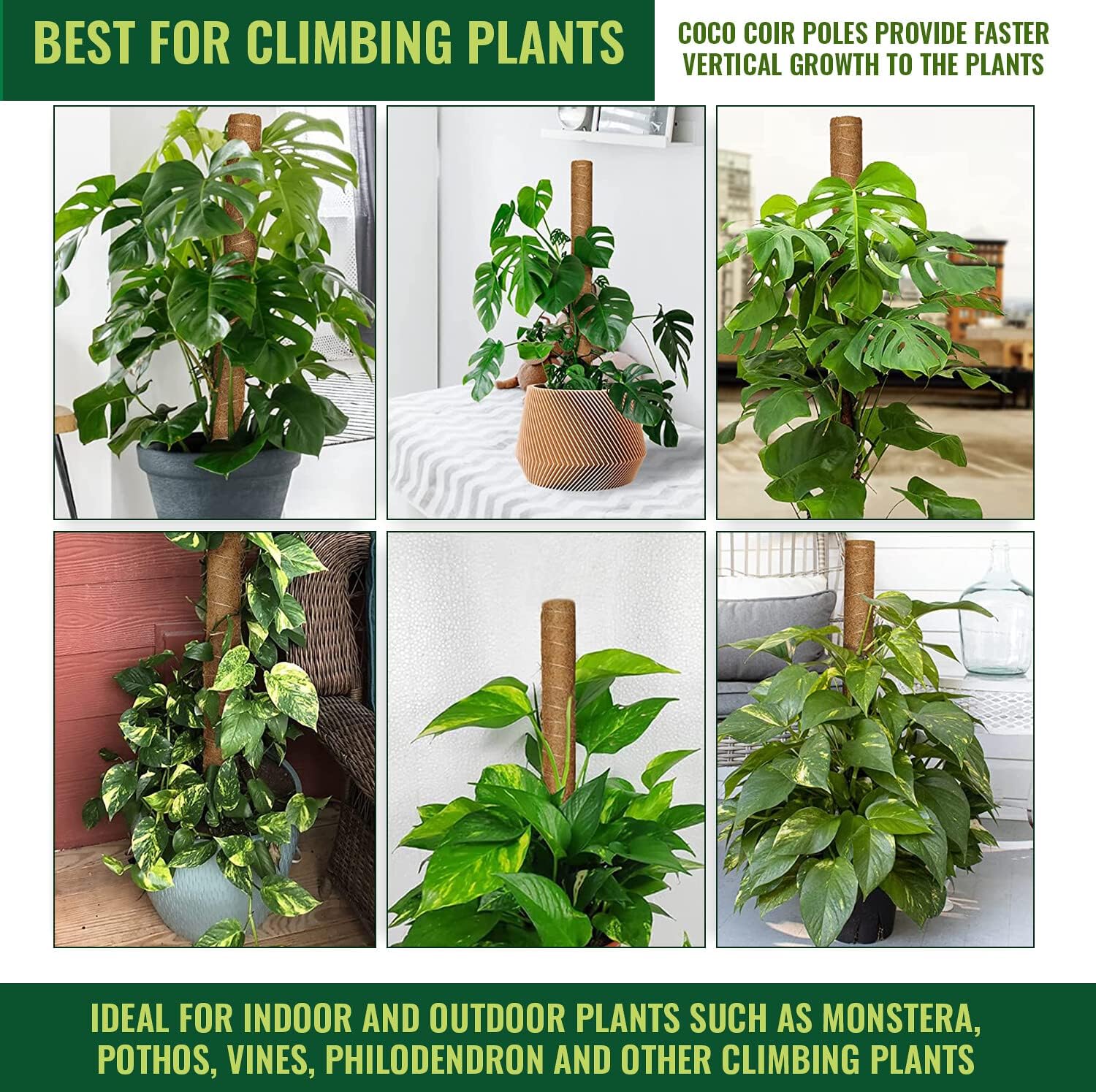 coir pole for pothos Premium Coco Coir Poles for Monstera Plants (Pack of 2)