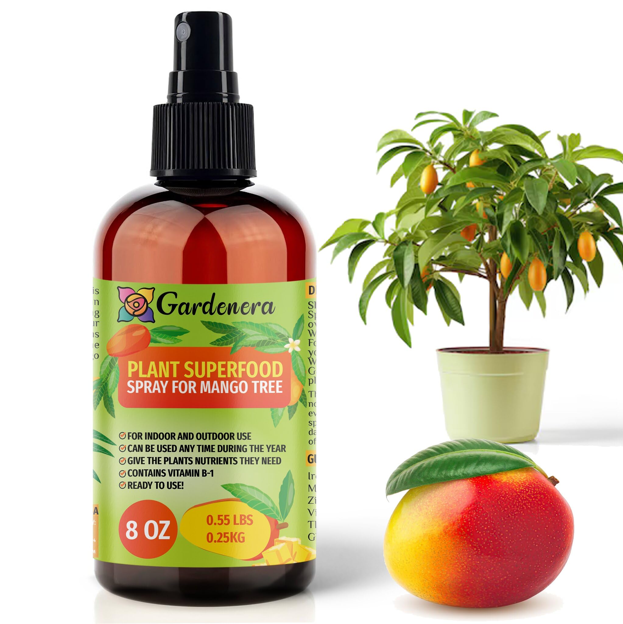 best fertilizer for mango plants Plant Superfood for MANGO TREE with B1 Vitamin, Glucose and Essential Minerals