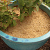 Sustainable Gardening Made Easy: Gardenera Rice Hulls - Harness The Power of Natural Mulch and Plant Protection - 10 QUARTS