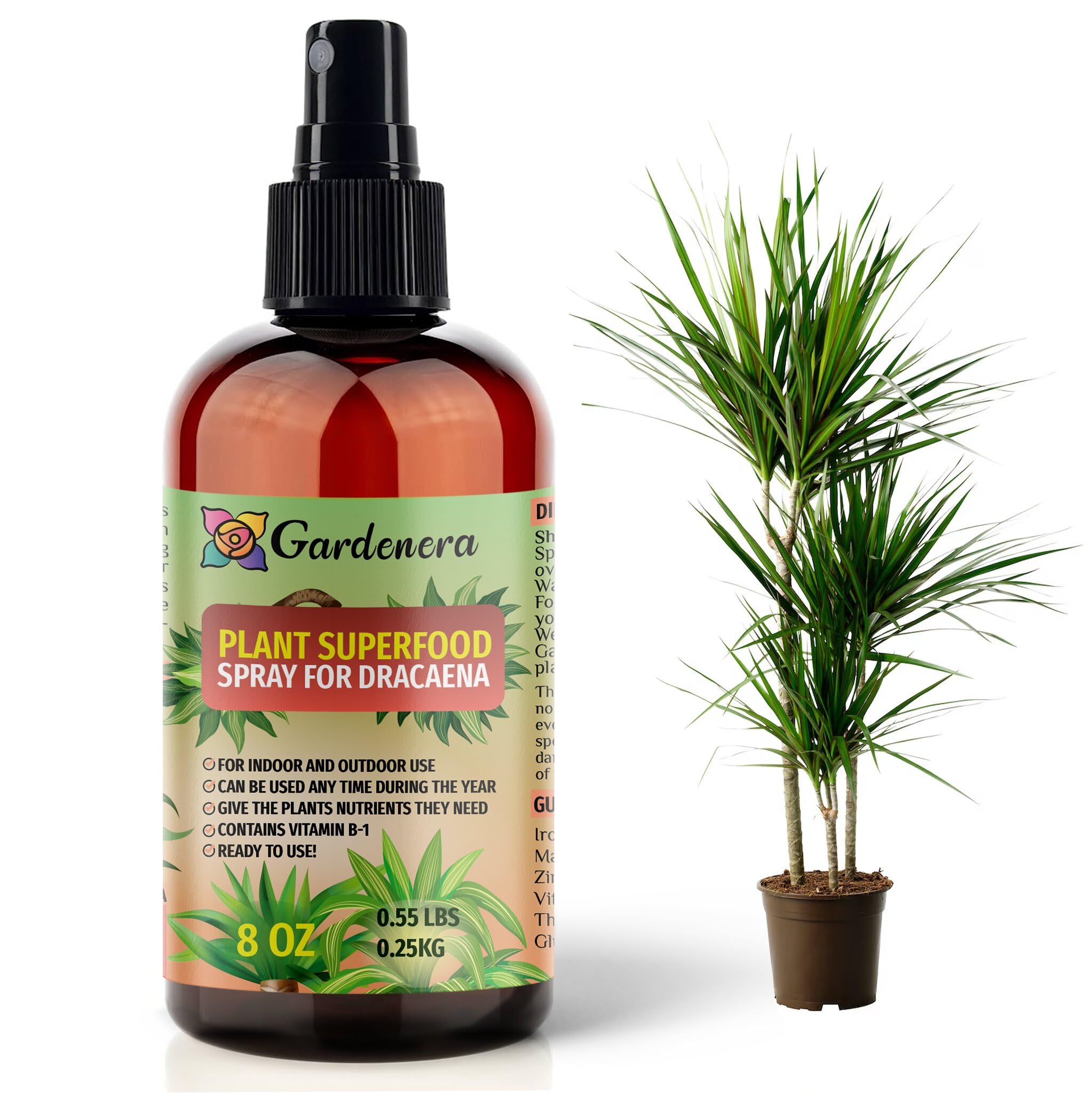 dracaena plant food Plant Superfood for DRACAENA Plants with B1 Vitamin, Glucose and Essential Minerals