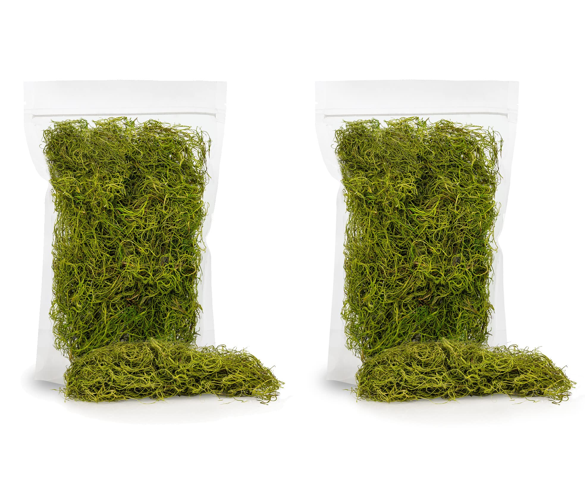 green moss for potted plants Premium Spanish Moss in Spring Green| Natural Preserved - 10 Quart - Great Ground Cover - Filler for Potted Plants