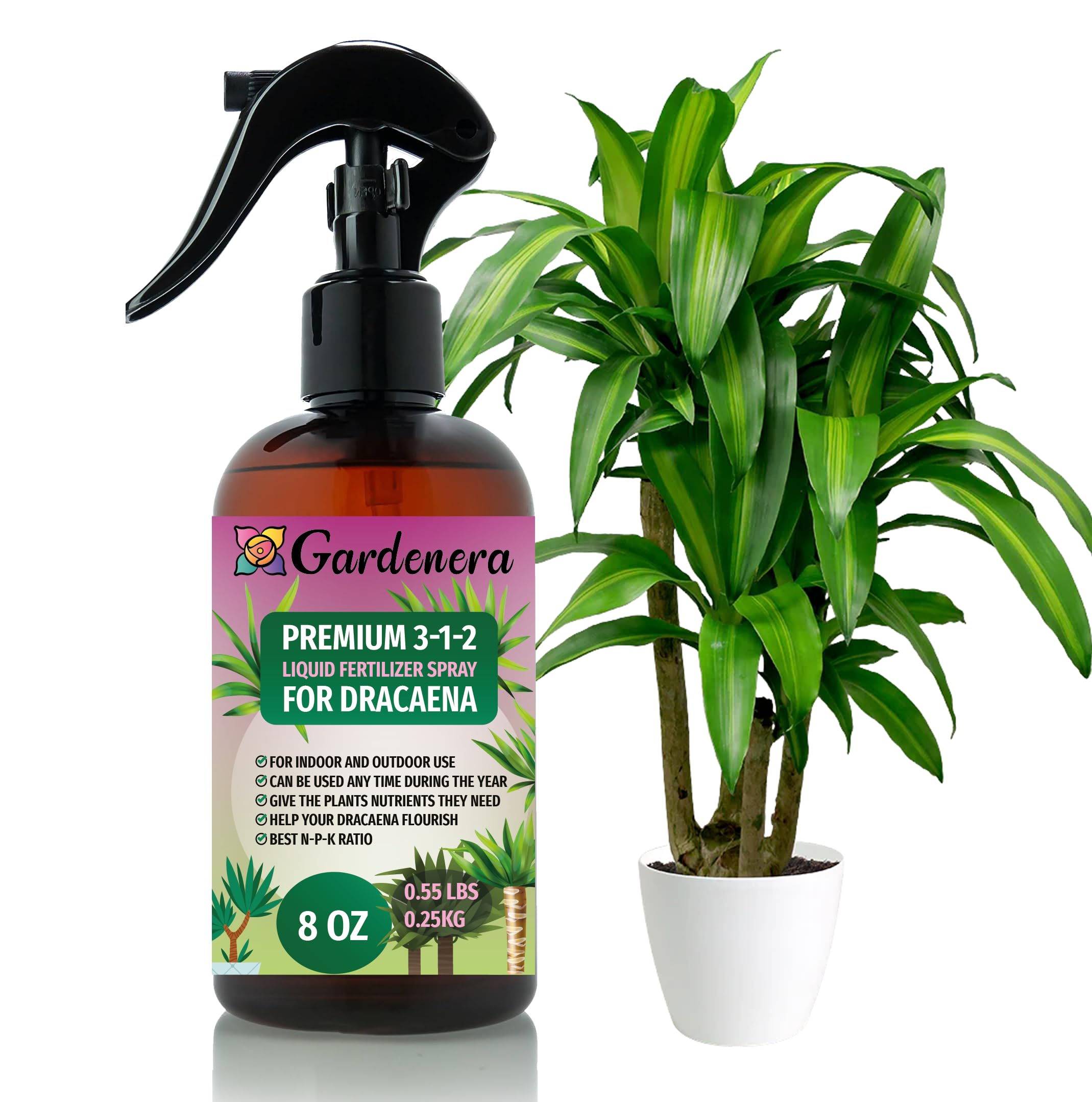 house plant spray Gardenera Proffesional DRACAENA Spray Fertilizer Mist for Home Gardening | 3-1-2 Gentle Blend Mist for Healthy Leaves & Growth