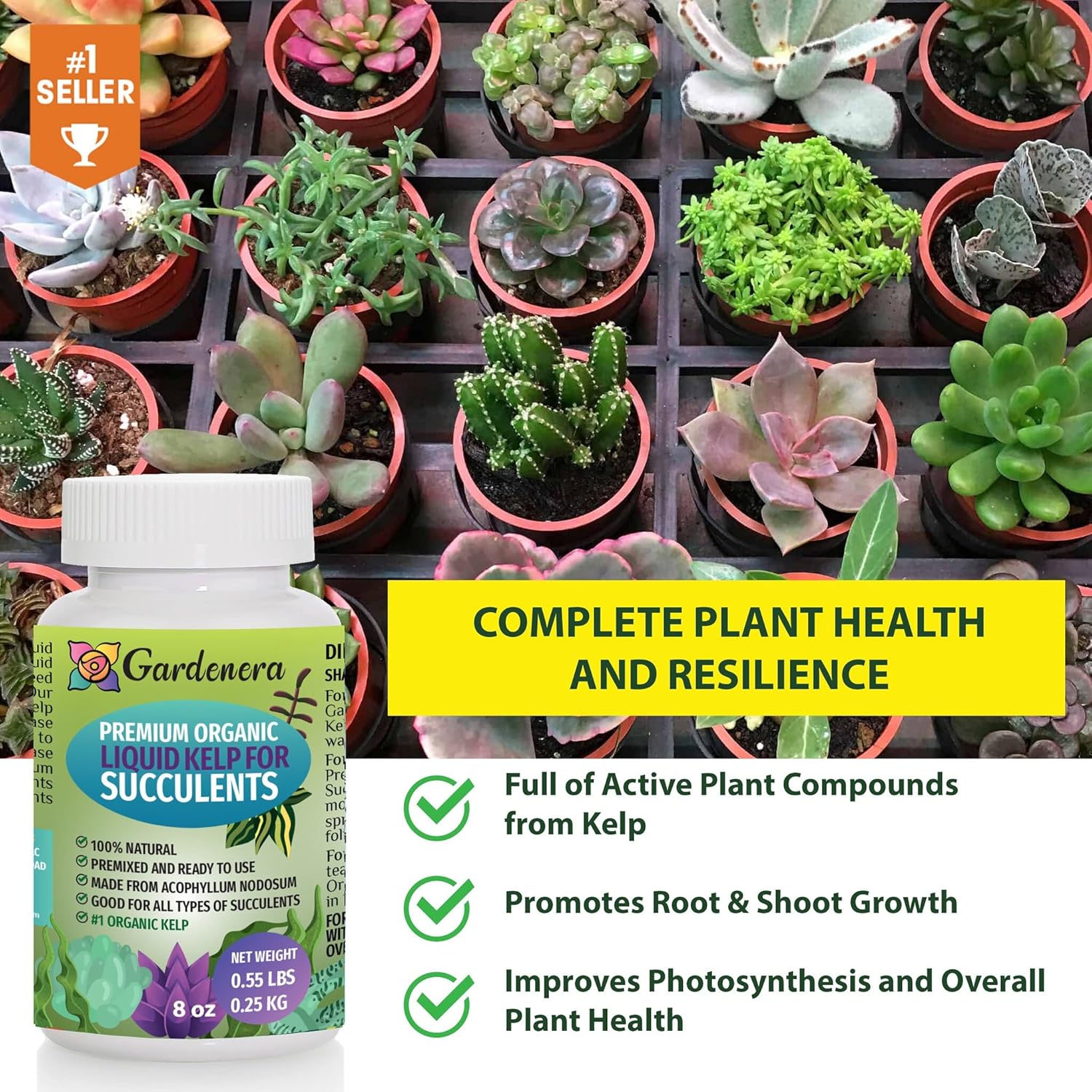 GARDENERA Concentrated Kelp & Seaweed Extract for  and Cacti - 16 oz - Unleash The Power of Seaweed for Stunning Growth