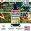 nutrients for money plant Gardenera Plant Growth Superfood for MONEY Trees with 18 Vitamins & Minerals - Organic Plant Food Fertilizer