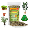 GARDENERA Professional 13-3-13 Super Palm and Tropical Ornamental Fertilizer - Perfect Food for Landscape Plants - 1 Quart