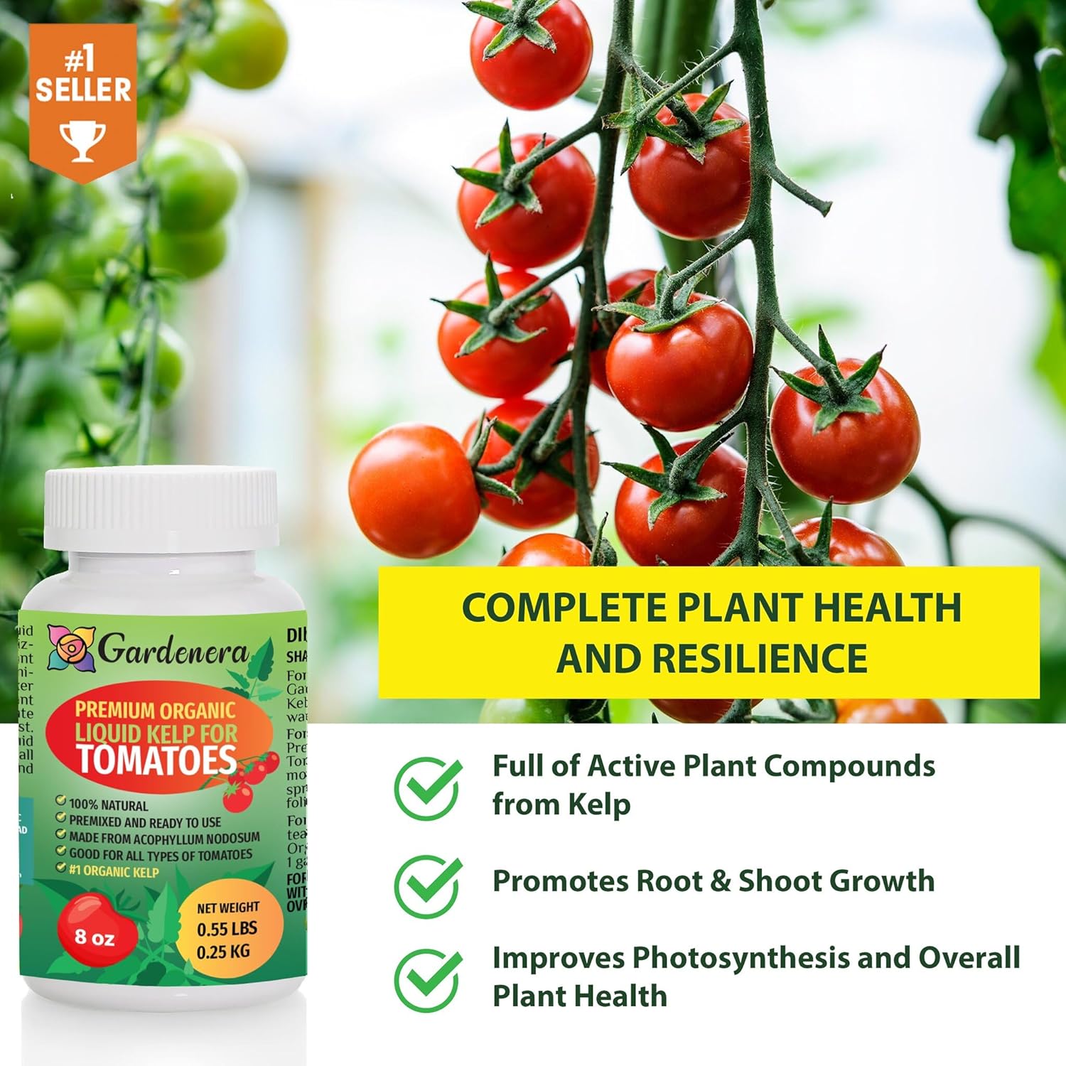 Premium Liquid Kelp Fertilizer for Juicy Tomatoes by Gardenera - 32 oz - Enhance Growth and Sweetness in Your Tomato Plants