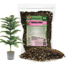 GARDENERA Premium Araucaria Potting Soil Mix - Perfect Balance of Nutrients, Drainage, and Aeration for Healthy Araucaria Trees - 2 QUART