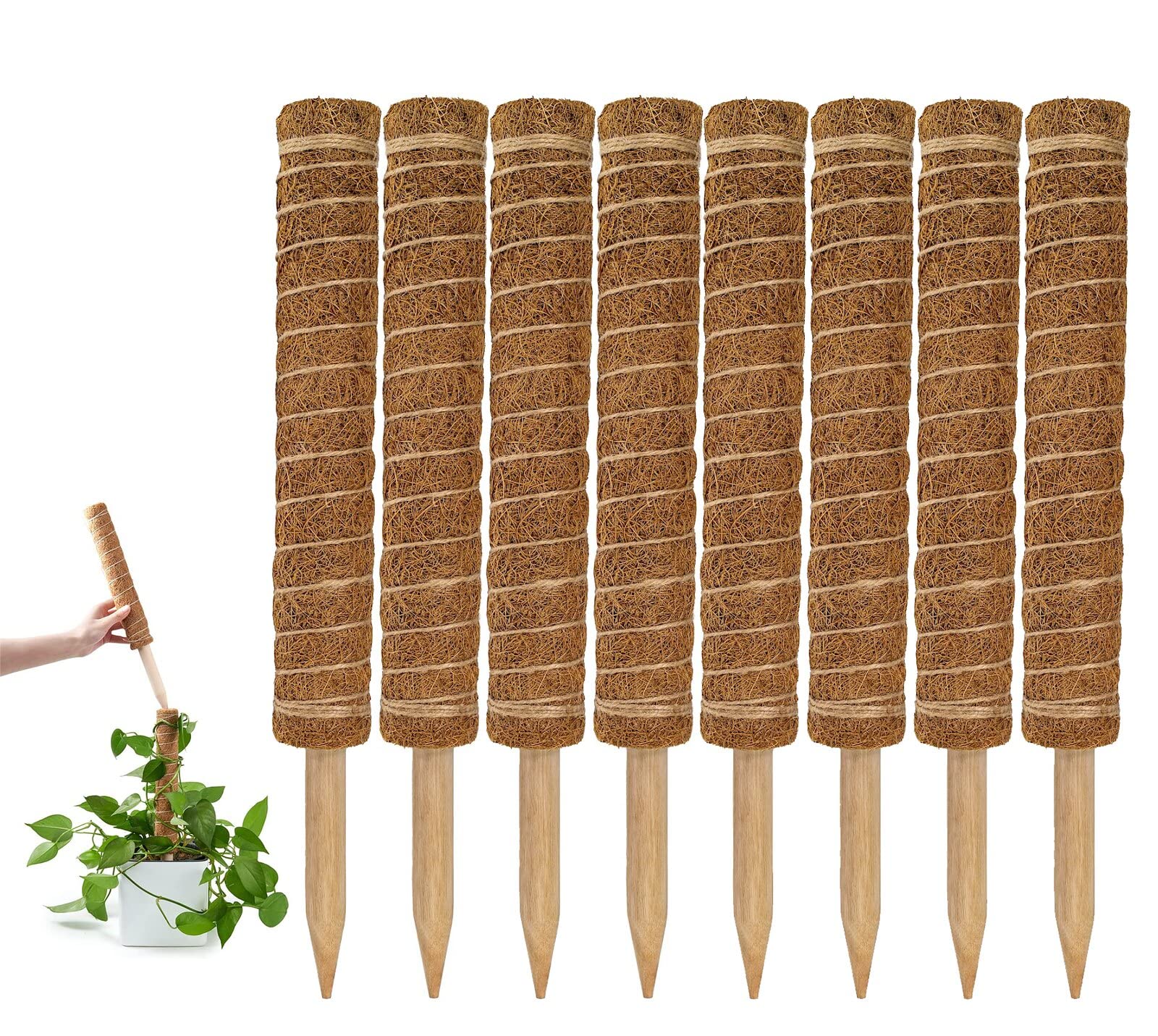 coco coir pole monstera GARDENERA Stackable Coco Coir Poles for Monstera (Pack of 8) Train Ind – Gardenera.com